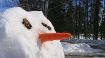 Из чего, кроме морковки, можно сделать нос снеговику?